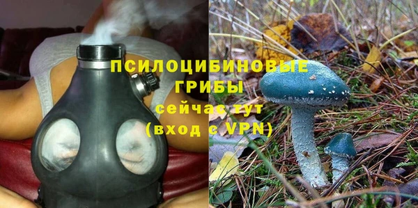 амф Новокубанск