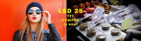 сатива Новодвинск