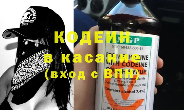 сатива Новодвинск