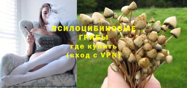 амф Новокубанск