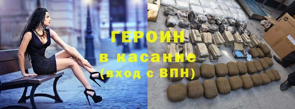 сатива Новодвинск
